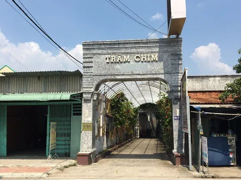 Cưỡng chế phá dỡ tổ hợp du lịch Resort Tràm Chim – Góc nhìn pháp lý của luật sư
